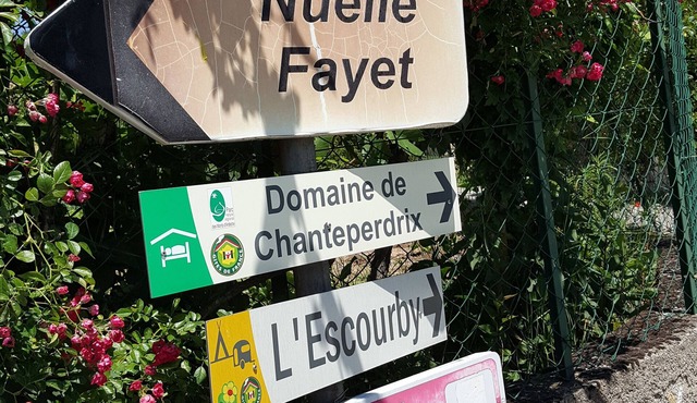 Nice holiday home with studio and private pool in a quiet location on the vineyard.