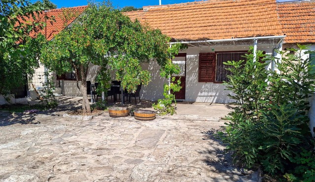 Nice home in Konjevrate with kitchen