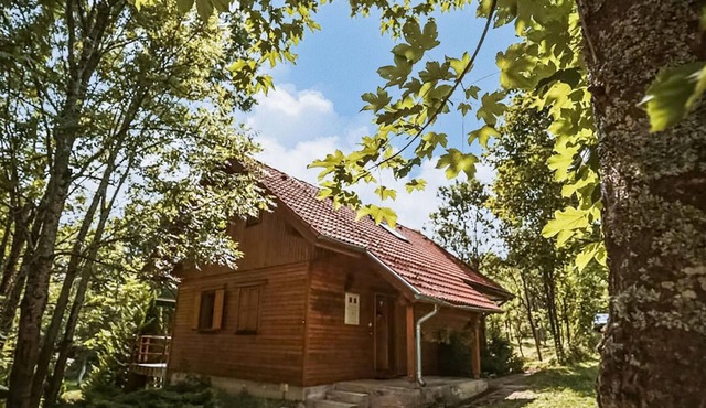 Nice home in Sertic Poljana with WiFi
