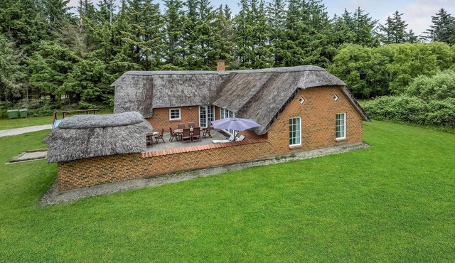 Nice home in Ulfborg with kitchen