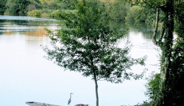 Nice house + garden - Circuit of Remembrance, Picardy Somme Battlefields