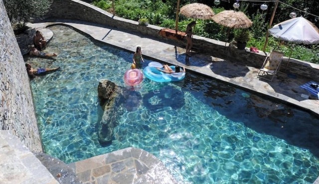 Nice house with pool near a village