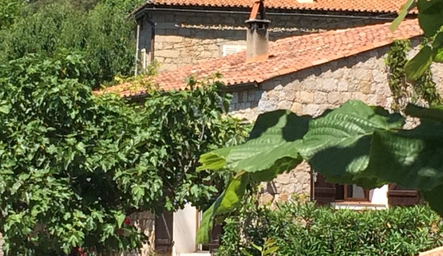 Nice house with view