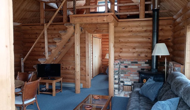 Nice little cabin just south of Dillon.