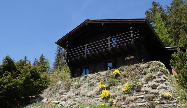 Nice little chalet ideal for a family, garden, calm, rest, lake view