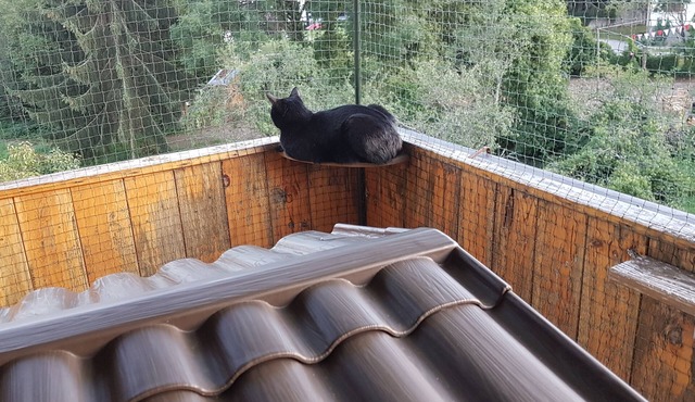 Nice room in a quiet area