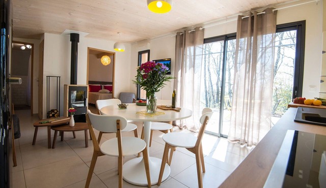 Nice stone and wood house with swimming pool for 2 people - L'Ôlive