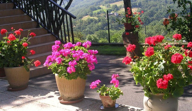 Nice Studio 33 m² in Espalion Occitanie at the gates of Aubrac