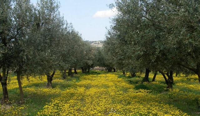 Nice studio in the city center - Nyons