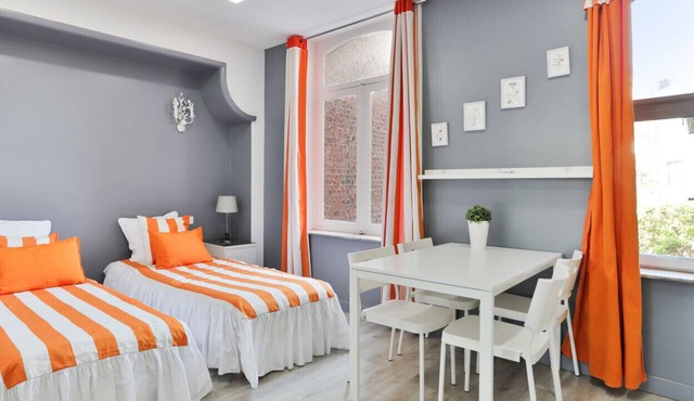 Nice studio in the heart of Lille