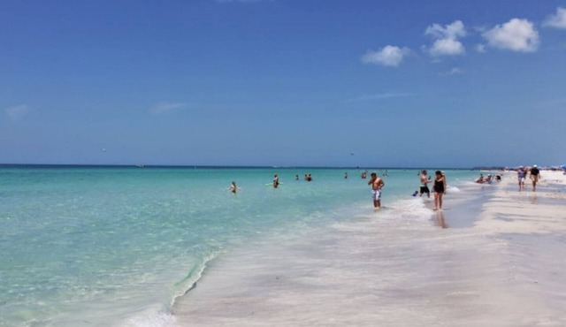 Nice studio near Anna Maria Island, IMG Academy, UTC Mall, Lecom Park