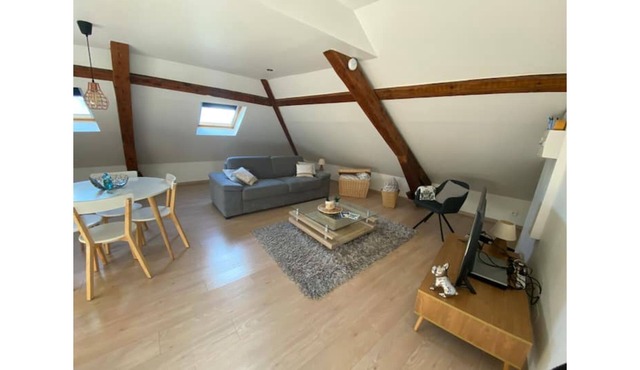 Nice studio near the parks and the city center district of France