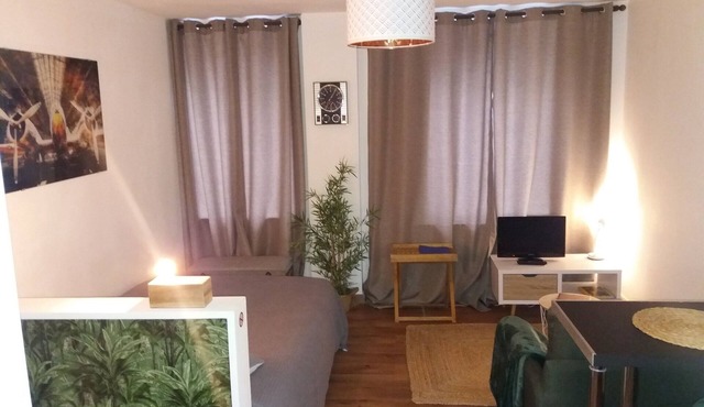 Nice studio with terrace, downtown Brest