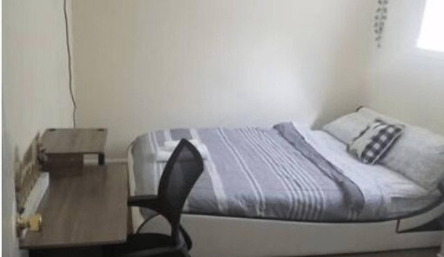 Nice sunny basement apartment 5mins to HCHospital