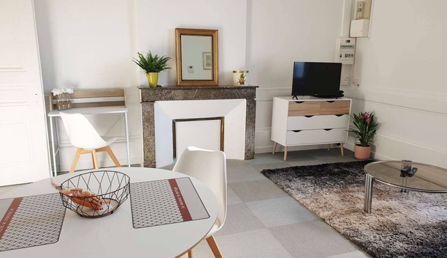 Nice T2 downtown, courtyard, air conditioning