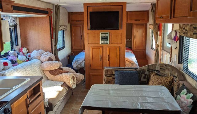 nice view with good background