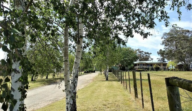 Nicholson BnB and Arts Centre