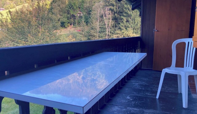 Nid douillet, Cosy apartment, Val d'Illiez, Portes du Soleil