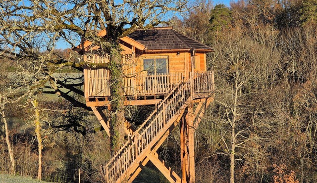 Nids en Perigord, cabane perchée avec Spa à 10min de Sarlat