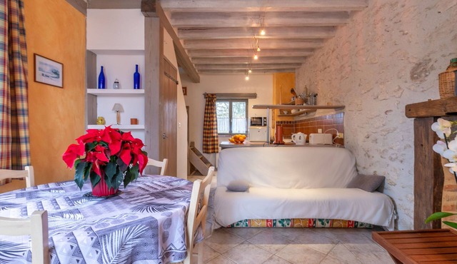 Nigaudière estate: The Roseaux - Beauval & Castle