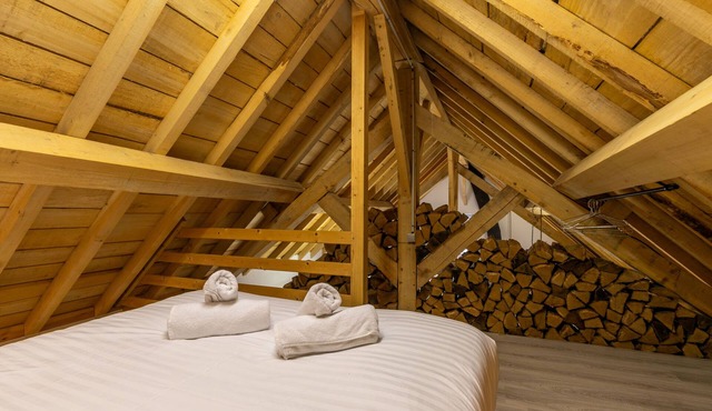 Nigaudière: The undergrowth - Beauval & Castle