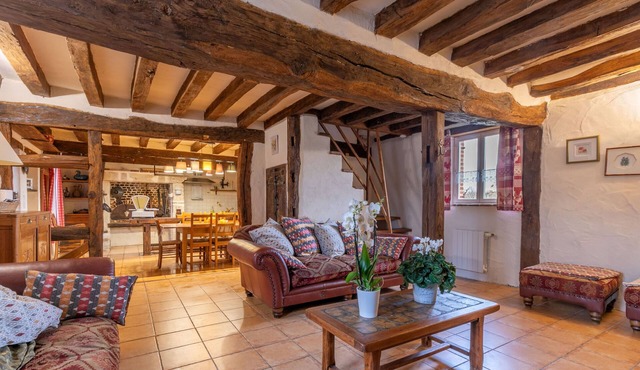 Nigaudiere: The Hellebores - Beauval & Castle