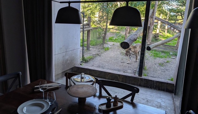 Night Experience By Zoo Bordeaux Pessac