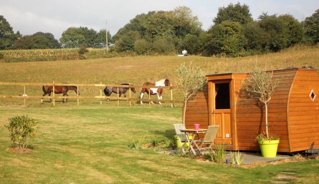 Night in a caravan with breakfast included (unusual guest room)