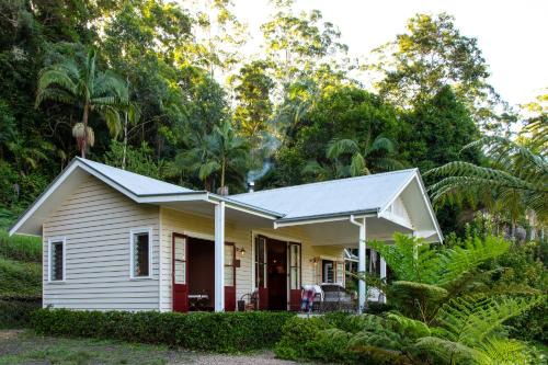 Nightcap Ridge - Byron Bay Hinterland