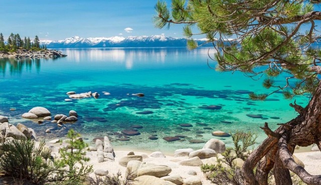 Nightingale Apt · Breathtaking Lake View Remodeled Old Tahoe Cabin