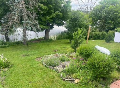 Niko’s Nest family cottage