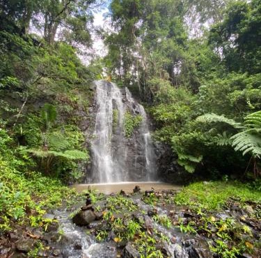 Nimbin waterfall retreat