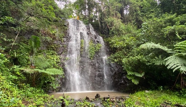 Nimbin Waterfall Retreat
