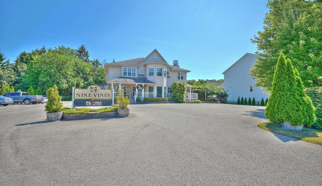 Nine Vines Hotel
