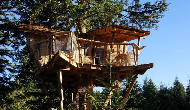 Nis de Bisou tree house