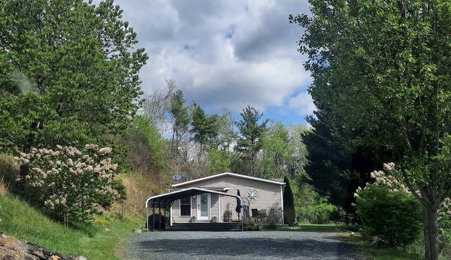 nMountain Retreat in Blue Ridge Mountains. Privacy! Owner Managed.