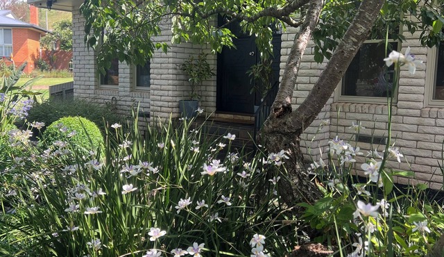 nMOUNTVIEW residence is a gorgeous renovated house at the bottom of Mount Leura.