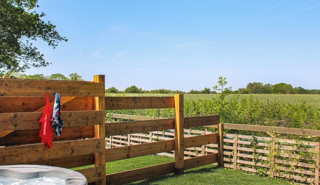 No. 2 Badger Sett-UK44307