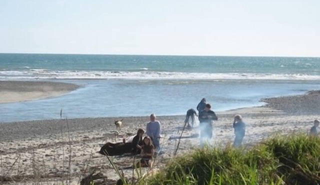 No. 5 Beach Cottage by the sea in Ngakawau
