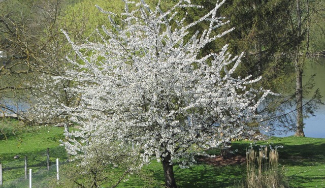 NO, available Gites-appartements