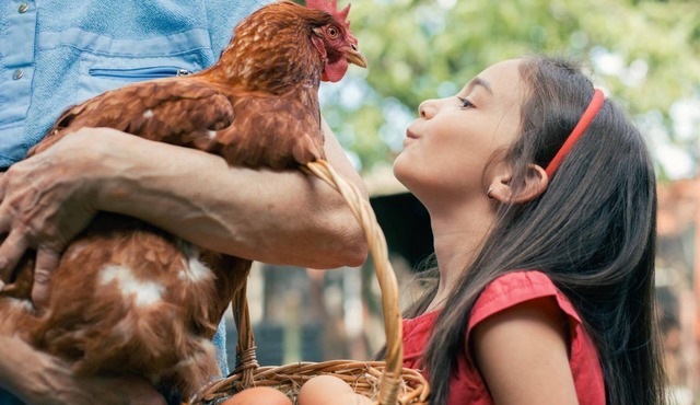 NO CLEANING FEE! - Longer Stay Discounts! Backyard Chickens!
