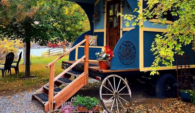 No Fees! Riverfront Blue Gypsy Wagon on Mini-Donkey Ranch!