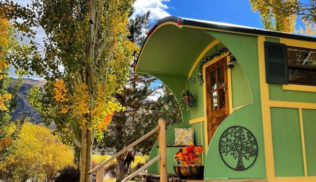 No Fees! Riverfront Gypsy Wagon on Mini Donkey Ranch!