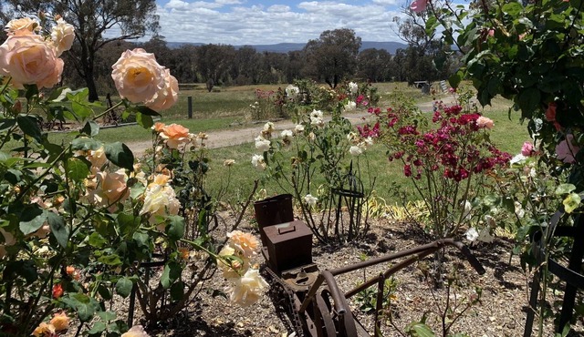 No longer listing property: Do not book. We need to honour current bookings.