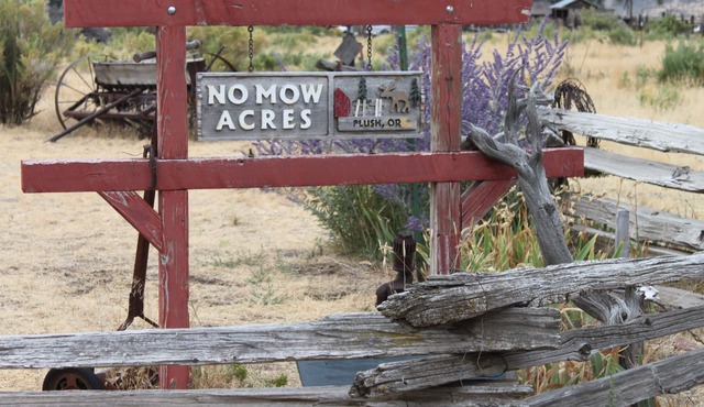 No Mow Acres /Located in the Oregon High Desert