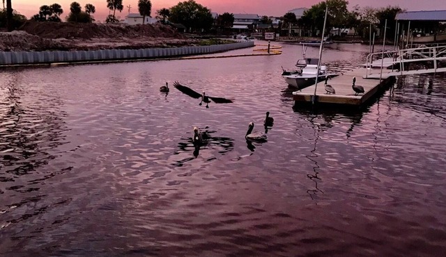 NO STAIRS. dock is steps away on main deep water canal in Keaton Beach !