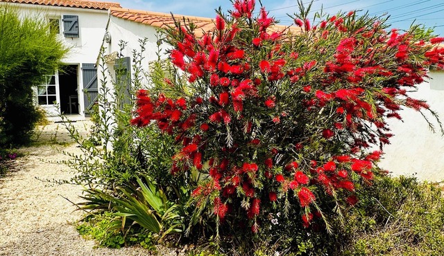 Noirmoutier Island. 500m from the beach. Impasse. Calm. Garden not overlooked.