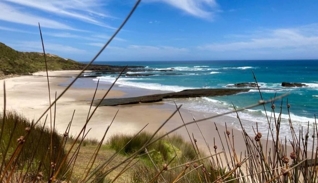 Noni's House Coastal Opononi - Hokianga Harbour