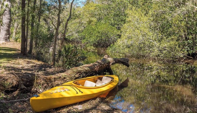 Noosa riverside cottage in Australian bush setting