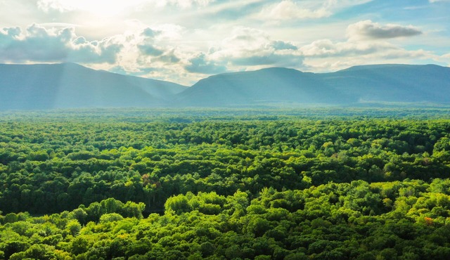 Nordic Retreat: Eco Scandinavian Modern Getaway